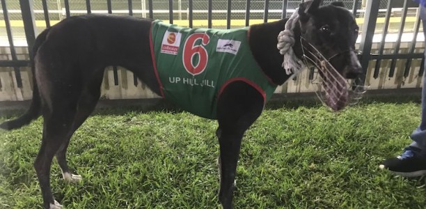 Patience pays off for Geall and Up Hill Jill in Golden Easter Egg