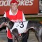 Wild Walter aiming to make back to back Maitland Cup finals
