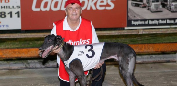 Wild Walter aiming to make back to back Maitland Cup finals