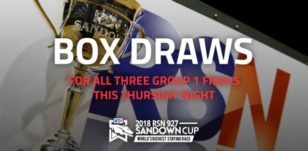 The Inside Word – 2018 Sandown Cup Heats