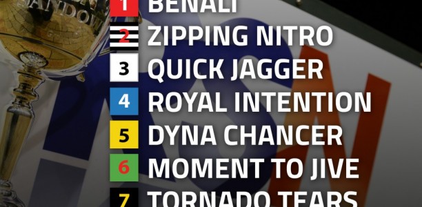 RSN Sandown Cup headlines a trio of Group 1 greyhound racing at Sandown