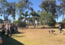 QRIC claim inaugural GAP Industry Engagement Day a success