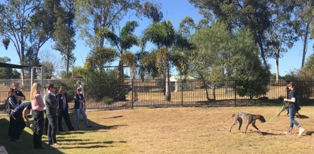 QRIC claim inaugural GAP Industry Engagement Day a success
