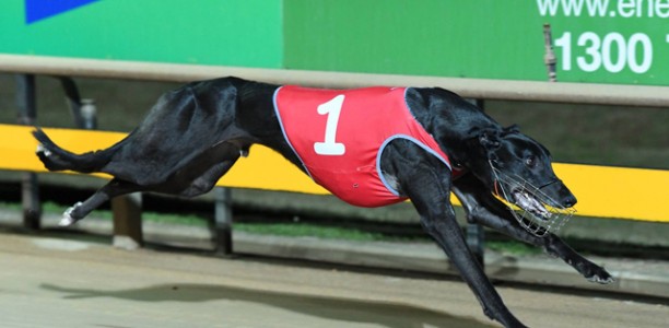 Aston Dee Bee retires