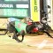 Gawler greyhounds set to resume for Gawler Produce Final raceday