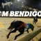 Impressive breadth of talent delivers an open Triple M Bendigo Cup