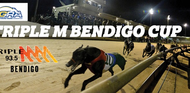 Impressive breadth of talent delivers an open Triple M Bendigo Cup