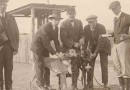 Victoria the first to adopt Minimum Bet Limits on greyhound racing