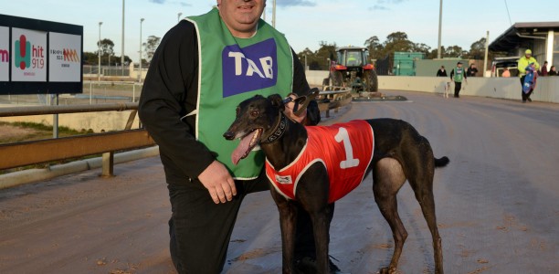 Light preparation spells improvement for Bendigo Cup drawcard
