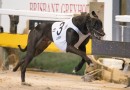 Queensland hopes boosted by favourable Origin box draw