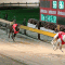 Today’s greyhound racing news back in time