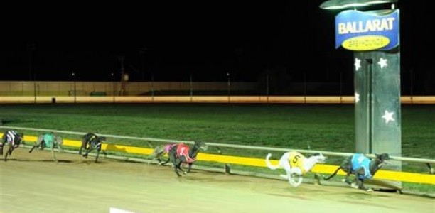 Ballarat greyhounds abandoned before first race