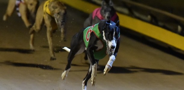 Peter Galo’s perfect Shepparton Cup success