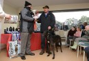 WATERLOO CUP: Bear Left claims coursing’s biggest honour
