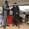 WATERLOO CUP: Bear Left claims coursing’s biggest honour