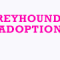 Greyhound Adoption Days return to Sandown