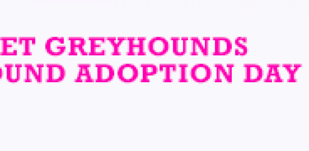 Greyhound Adoption Days return to Sandown