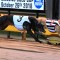Aston Kimetto’s ‘Sweet’ Geelong Success