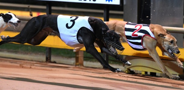 Aston Kimetto’s ‘Sweet’ Geelong Success