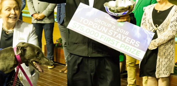 Sally’s Champagne Topgun Stayers Triumph