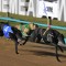 Black Impala’s ‘Proven’ Group 1 Class