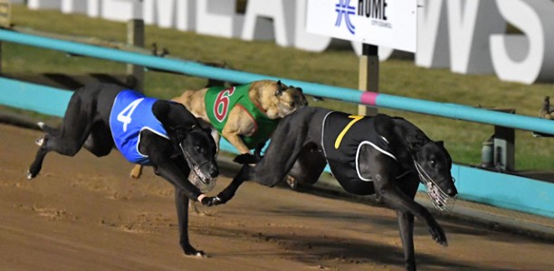 Black Impala’s ‘Proven’ Group 1 Class