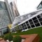 A celebration of greyhound racing’s Crown jewel