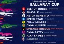 The Inside Word: 2018 Volkswagen Ballarat Cup Heats