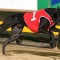 Ballarat Cup: Bubbs no baby from the cherry