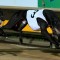 Aston Kimetto’s barnstorming Ballarat triumph