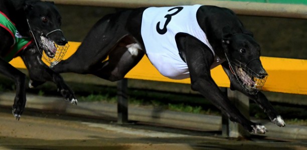 Aston Kimetto’s barnstorming Ballarat triumph