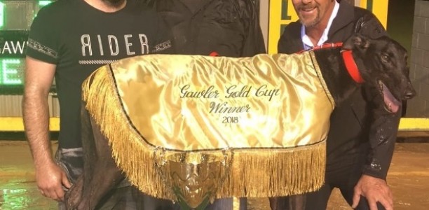 150 not out: Aloisi celebrates Laurels milestone