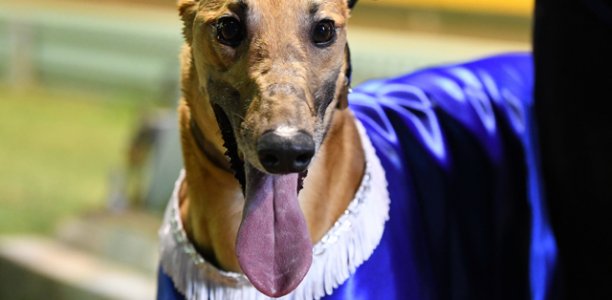 Orson makes Horsham his own with electrifying Cup win