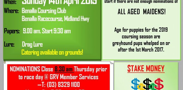 Coursing returns to Benalla