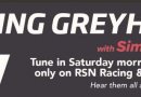 RSN’s Talking Greyhounds
