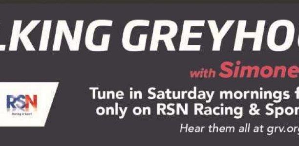 RSN’s Talking Greyhounds