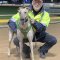 In-form trainer faces dilemma