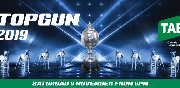 Topguns: Thrill of the draws