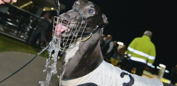 Ready 2 Race Sales this Saturday