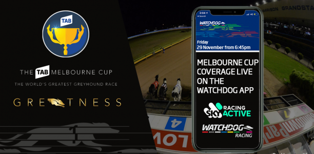 Hooked on the Melbourne Cup Feeling