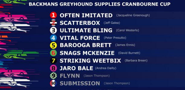 Bling shines brightest in Cranbourne heats