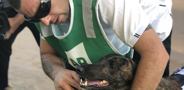 TAB Australian Cup Heats underway