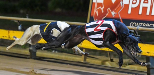 SHEPPARTON CUP: All will be revealed