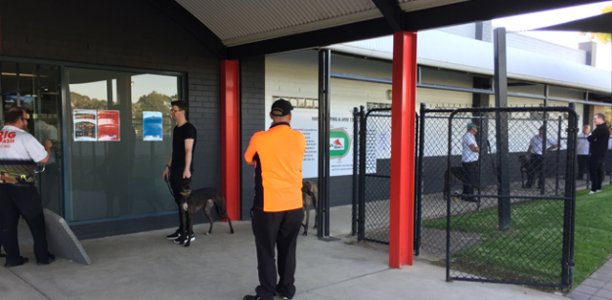 COVID-19: Changes to operational procedures around greyhound racing integrity