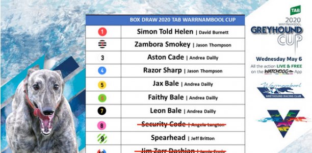 Reserve spears into Warrnambool Cup
