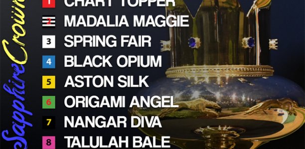 Black Opium’s sights set on Sapphire Crown