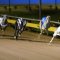 7 interesting facts about the Harrison-Dawson