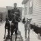 Veteran trainer’s significant milestone