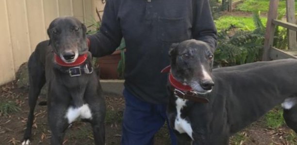 Magic double for Laidlay’s veterans