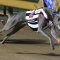 Interstate nominations to be accepted for all Victorian race meetings